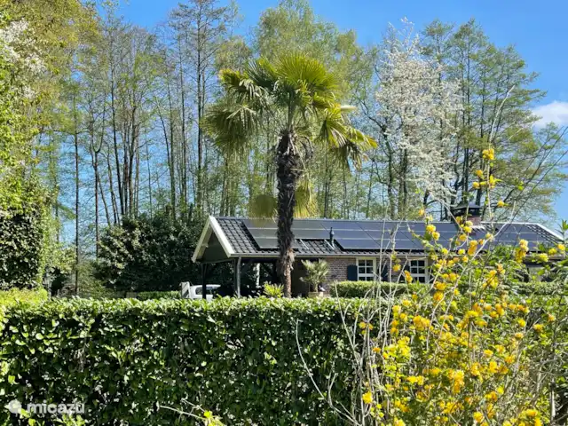 Aanzicht huis